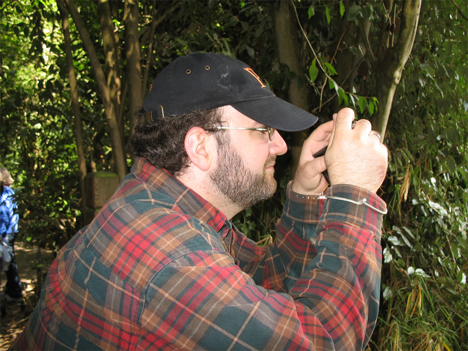 Large Photo