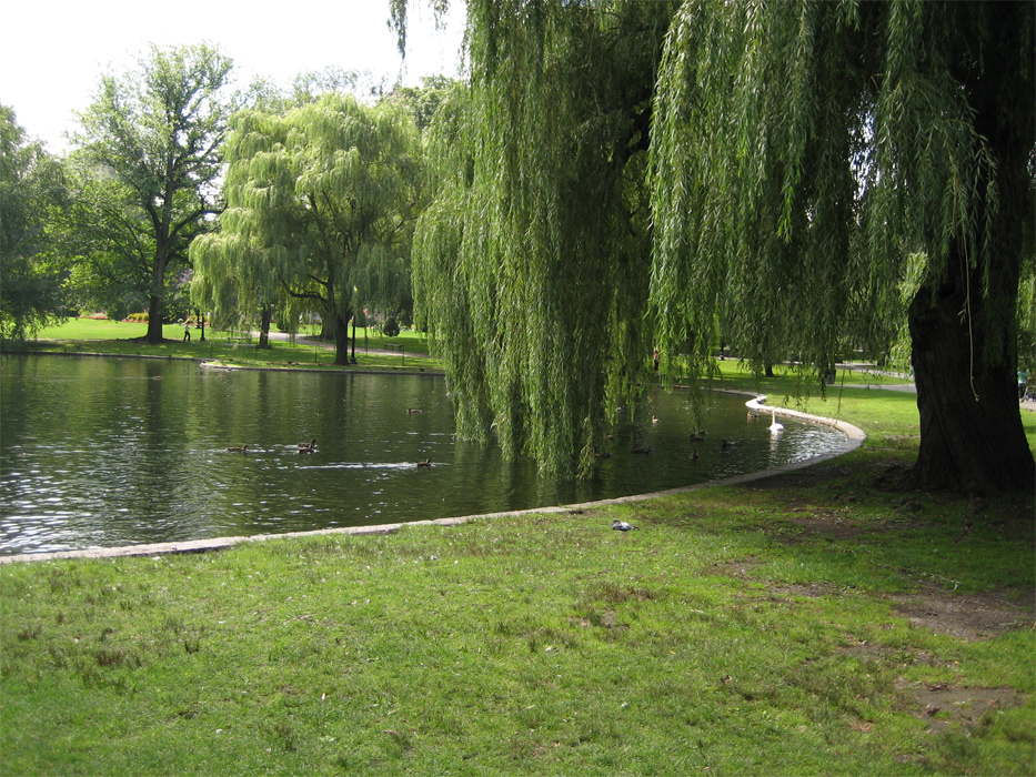 Large Photo