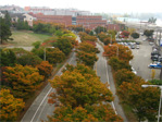 Fall below