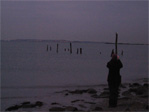 Sasha and the old pier