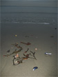 Sea stuff.