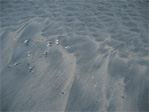 Sand on Revere Beach.