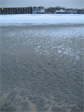 Revere Beach.