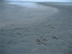 Revere Beach.