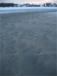 Revere Beach.
