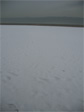 Snow on Revere Beach.
