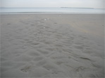 Revere Beach.