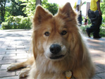 Aki at the University of Washington