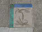Leptodora, transparent carnivores, at the northwest corner of Eastlake and Louisa.