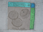 Freshwater diatoms at the southwest corner of Eastlake and Roanoke.