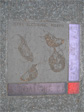 Giardia, trophozoite phase, at the southeast corner of Eastlake and Roanoke.