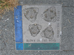 Dandelion pollen, blown in the wind, on the northeast corner of Eastlake and Newton.