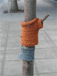 Tree clothes on Eastlake Avenue, north of Hamlin.