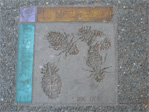 Dog lice on the southeast corner of Eastlake and Newton.