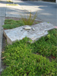 Stone artwork on Eastlake Avenue between Newton and Boston.