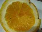 Orange garnish