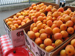 Apriums at Tiny’s Organic