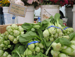 Baby bok choy