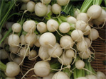 Baby turnips