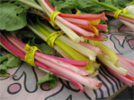 Chard