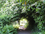 Tunnel behind the tennis courts in Volunteer Park