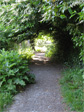 Tunnel behind the tennis courts in Volunteer Park