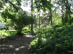 Volunteer Park
