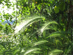Grass on Broadway