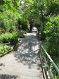 Howe Street hill