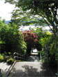 Howe Street hill