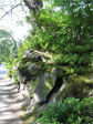 Stone wall near Ward Street