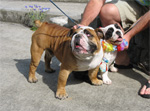 Beau and Delta