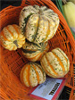 Squashes