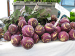 Kohlrabi