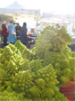 Romanesco broccoli